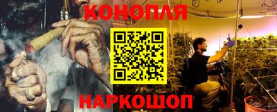 шишки Балашиха