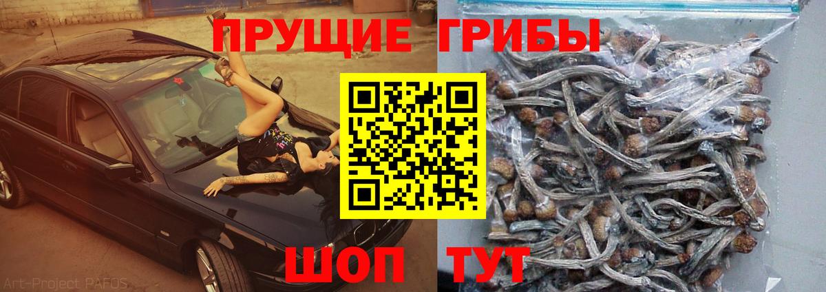 Елабуга  Псилоцибиновые грибы GOLDEN TEACHER  Вход с VPN 