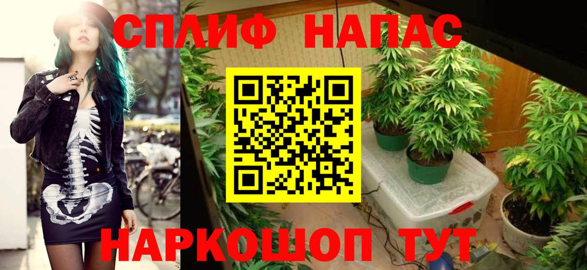 Бошки марихуана SATIVA & INDICA Елабуга